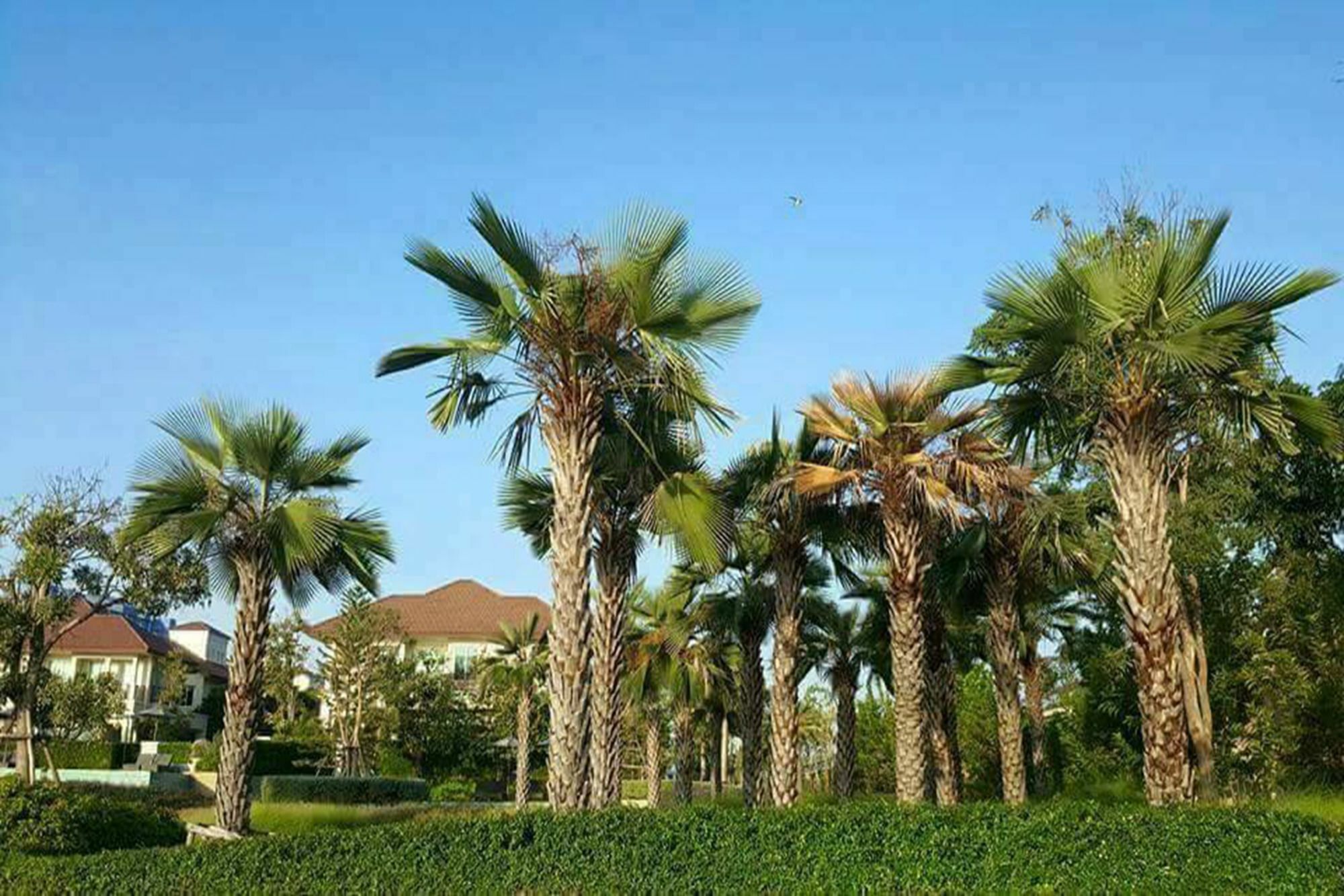 Panorama Sea View At Boulervard Cha-Am Villa ภายนอก รูปภาพ